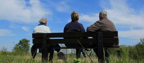 Her er det nye ældreråd