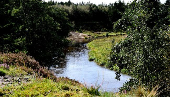 Vinderbillede i Nationalpark-konkurrence er udpeget