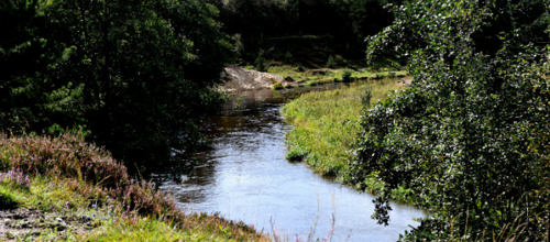 Vinderbillede i Nationalpark-konkurrence er udpeget