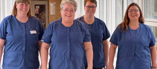 Specialteam rykker ud, når plejepersonalet kalder