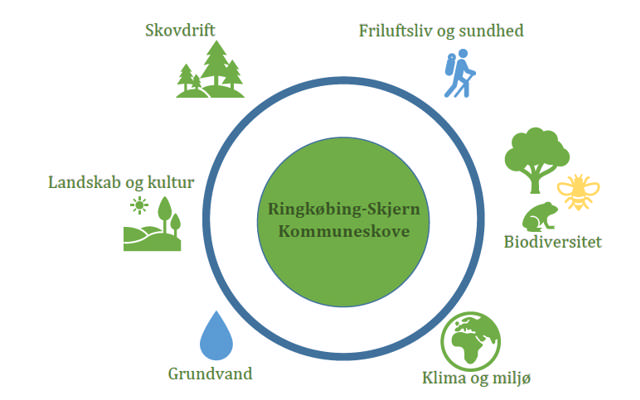 Illustration af skovstrategi