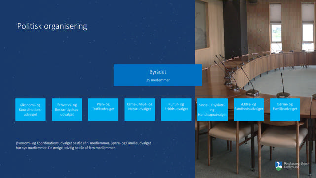 Oversigt over den politiske organisering