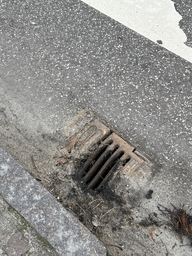 Billede af rendestensbrønd